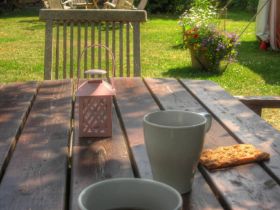 Denmark - Risk - Cup still on garden table IMG_6483_1_2.jpg